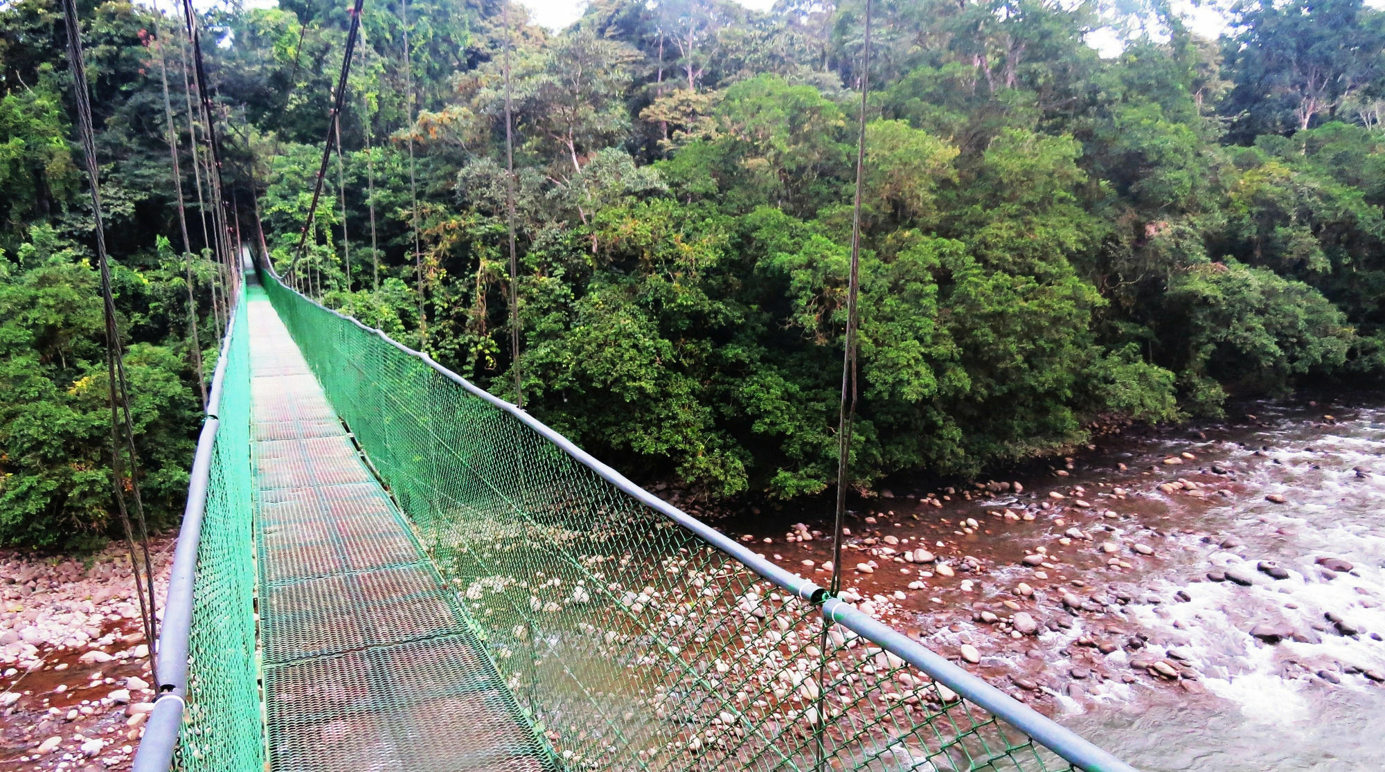 Tirimbina Rainforest Lodge Sarapiquí エクステリア 写真