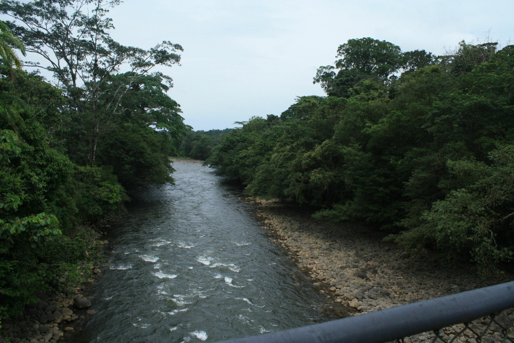 Tirimbina Rainforest Lodge Sarapiquí エクステリア 写真